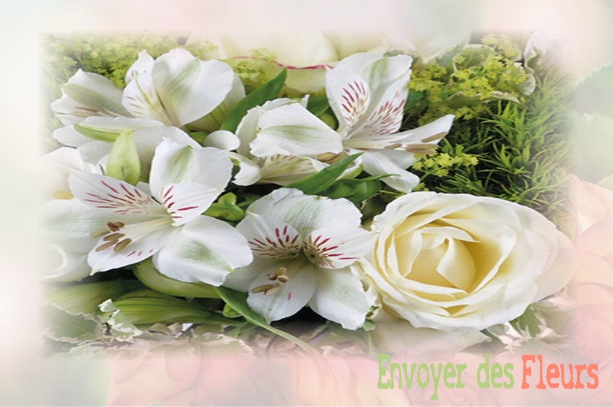 envoyer des fleurs à à VILLIERS-SAINT-GEORGES